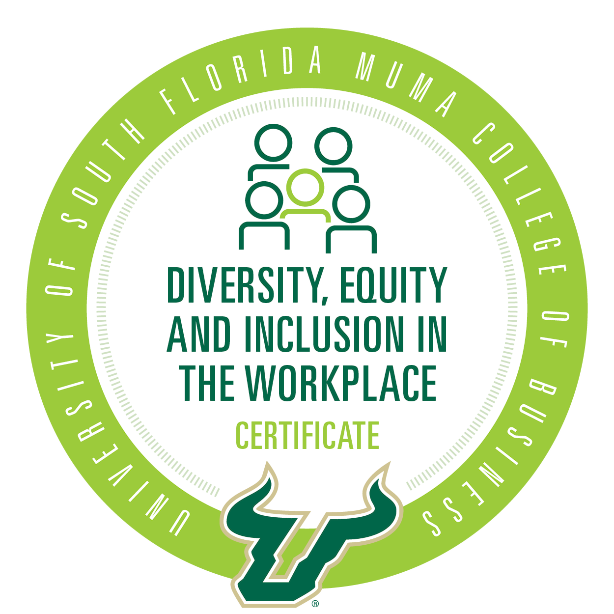 USF Diversity, Equity and Inclusion in the Workplace